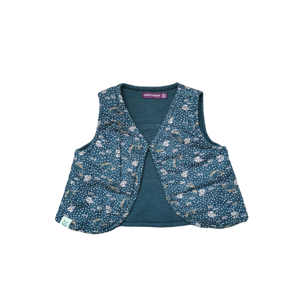 Gilet vert sans manches