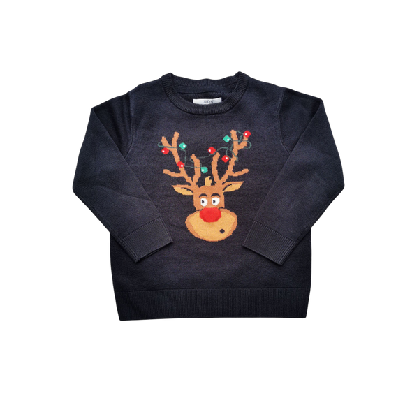 Pull de Noel garçon Jules 3/4 Ans vêtement occasion garçon